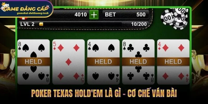 Cơ chế ván bài và luật chơi Poker qua 4 giai đoạn tuần tự